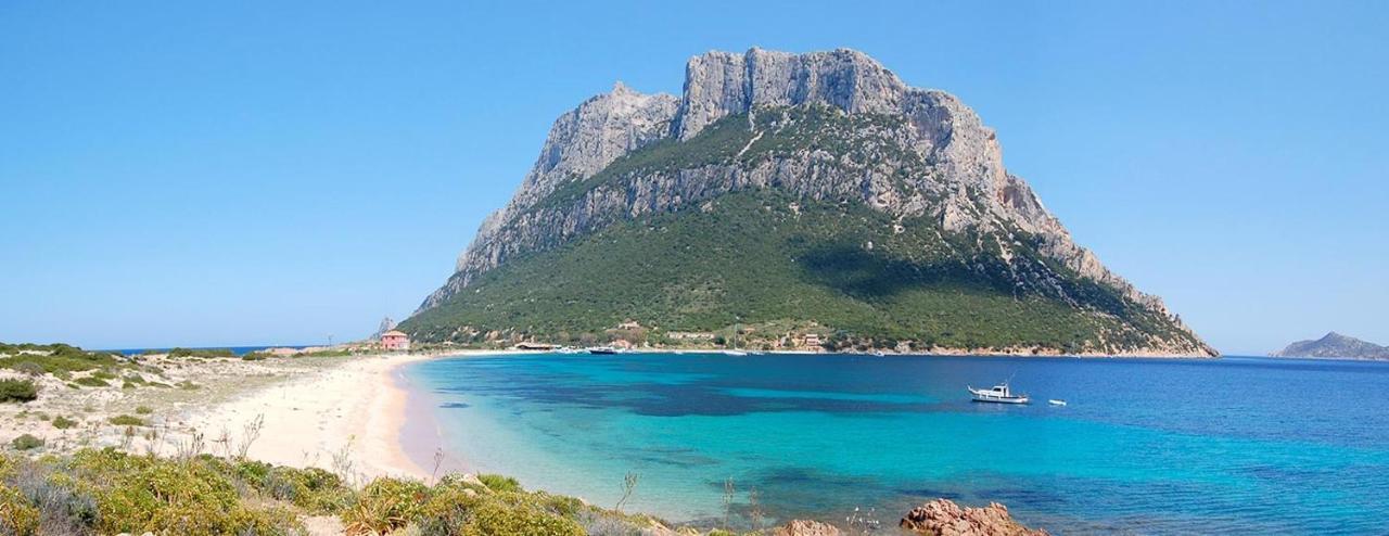 Classic Olbia